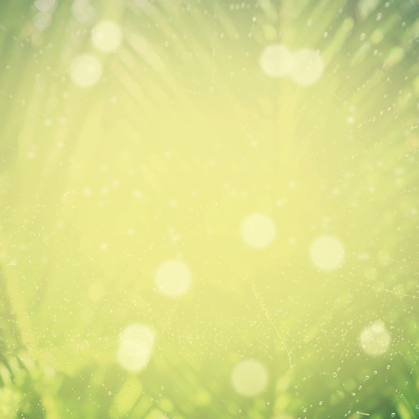 Easter Week Palm Sunday