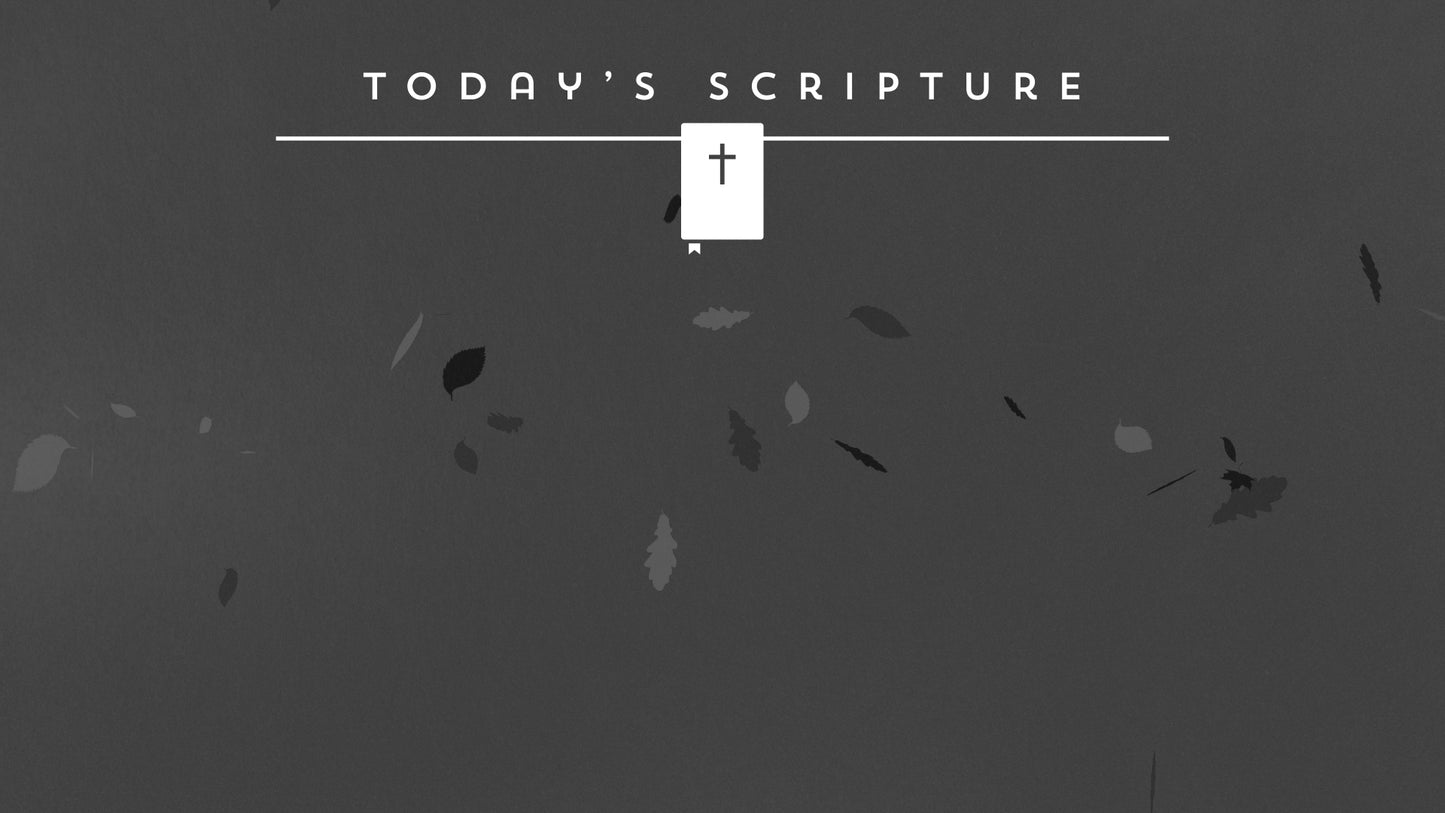 Autumn Breeze Scripture Still