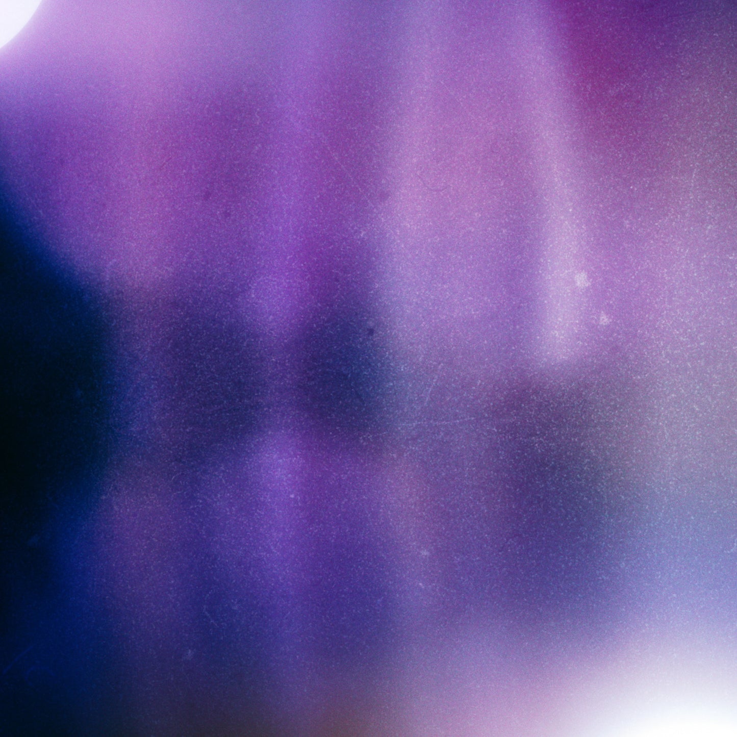 Hidden Motion Pray Blank