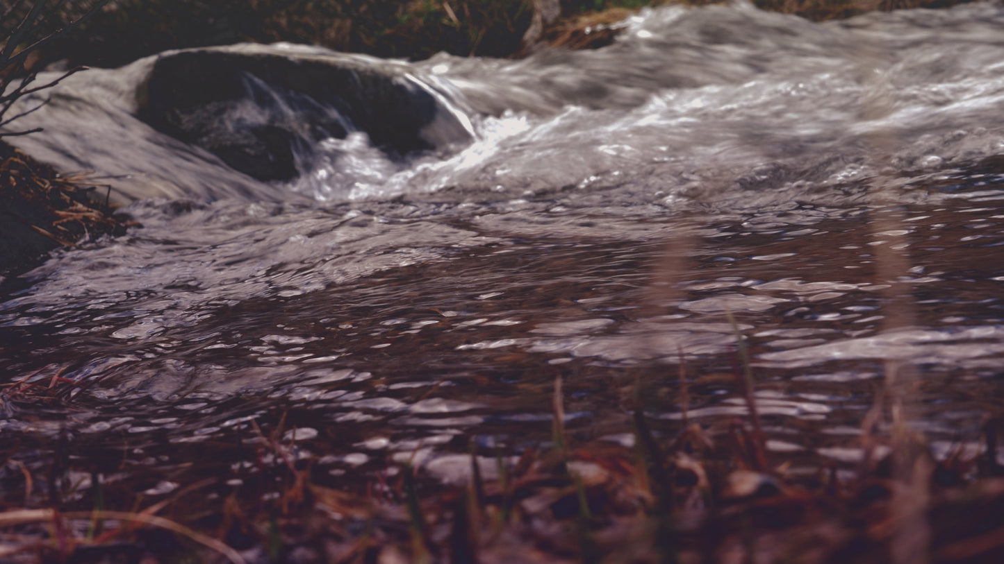 Nature Walk Brook