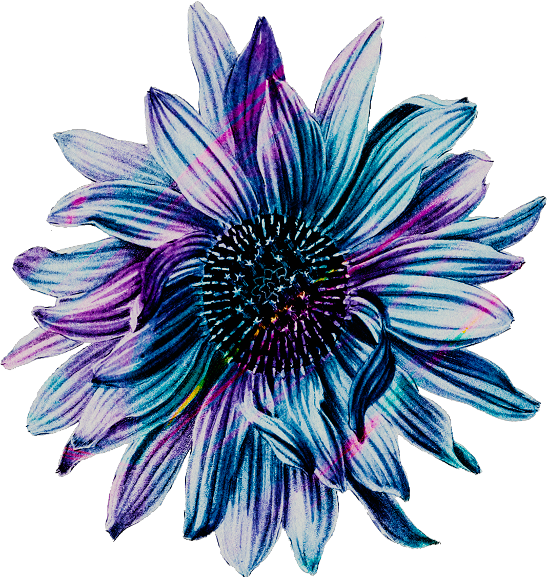 Mothers Day Glam Flower6