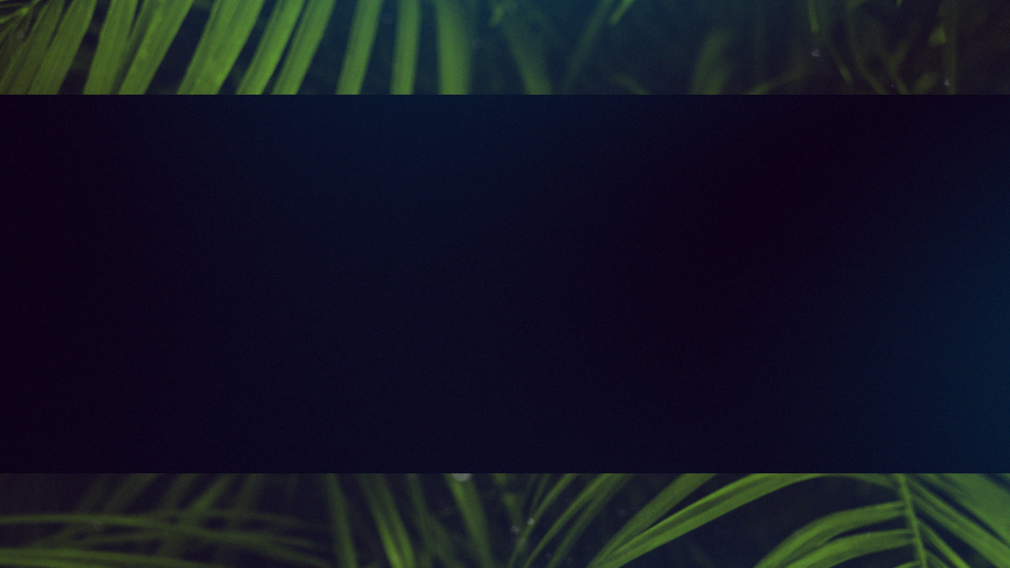 Palm Sunday Streaming 08 Still