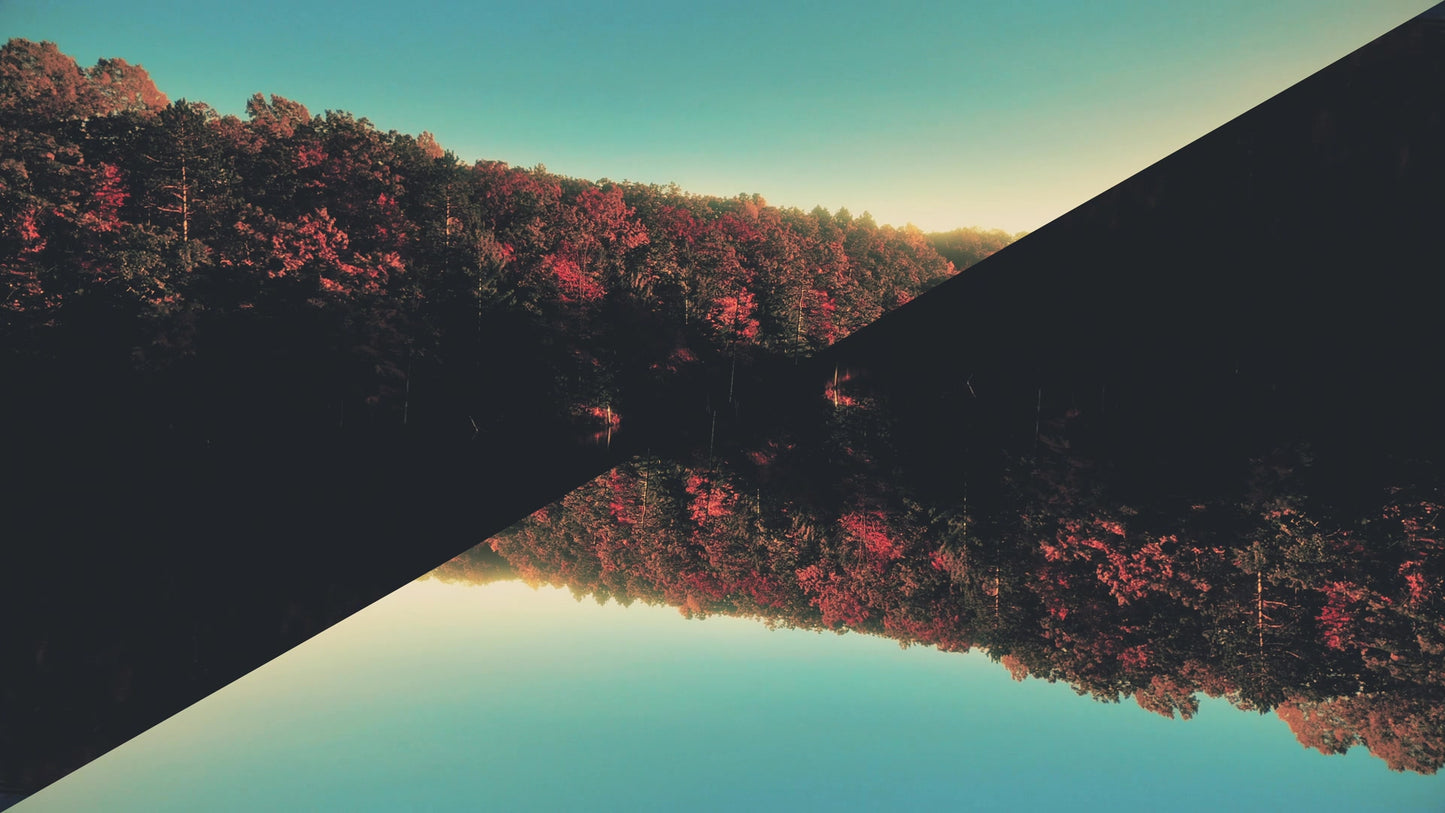 Foliage Remixed 07