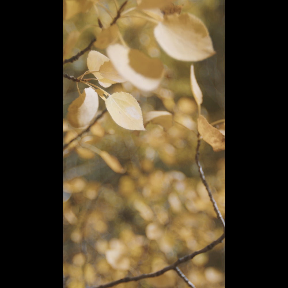 Mountain Hike Blank Reel 03