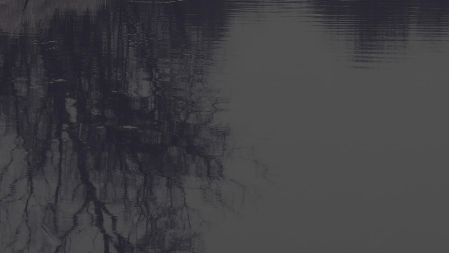 Bleak Beauty Reflect Fade