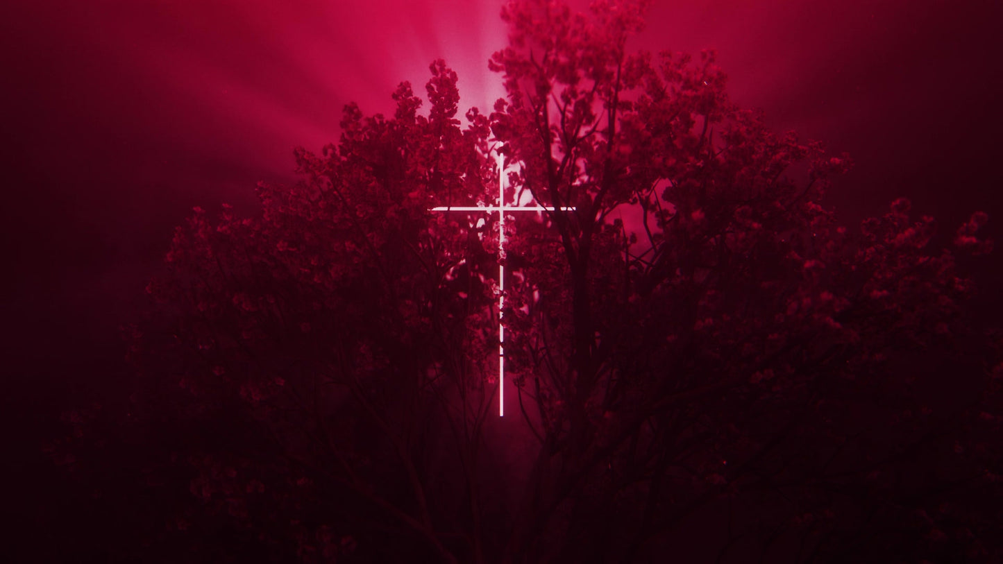 Holy Week 11 Neon Cross Red