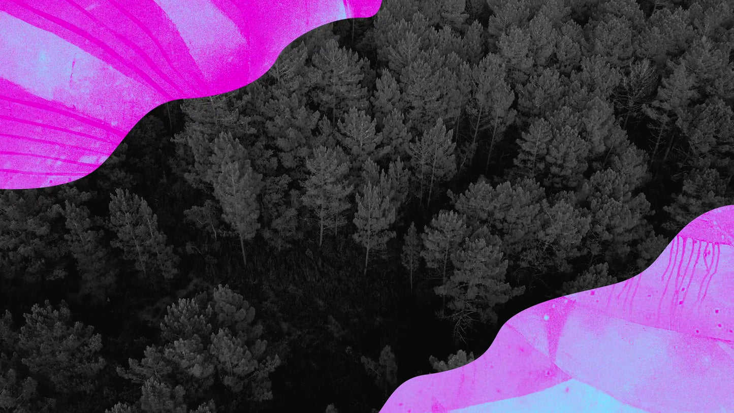 Vibrant Nature B 06