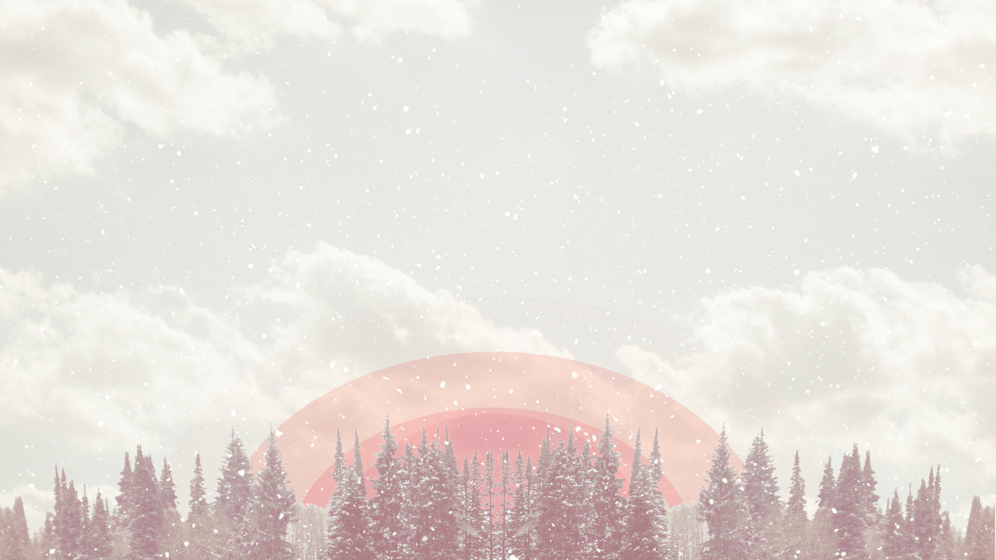 Winter Wonderland Forest Sky
