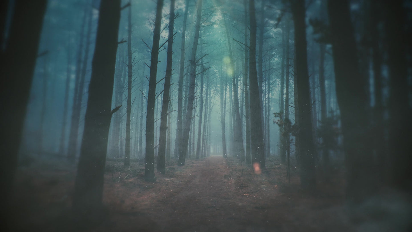 Moody Autumn Path