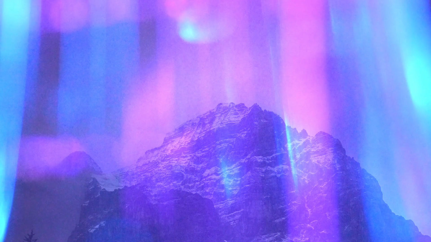 Refracted Nature Still 08