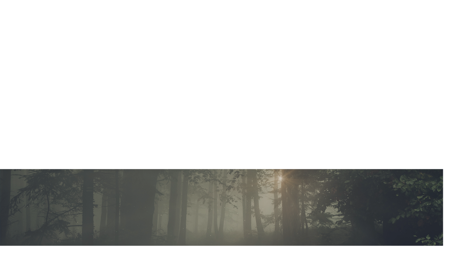 Lumberjack Dad Lower Third 3