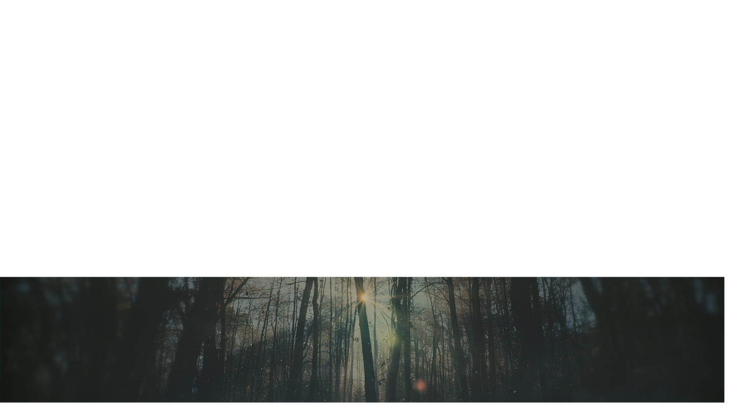 Moody Autumn Lower Third 3