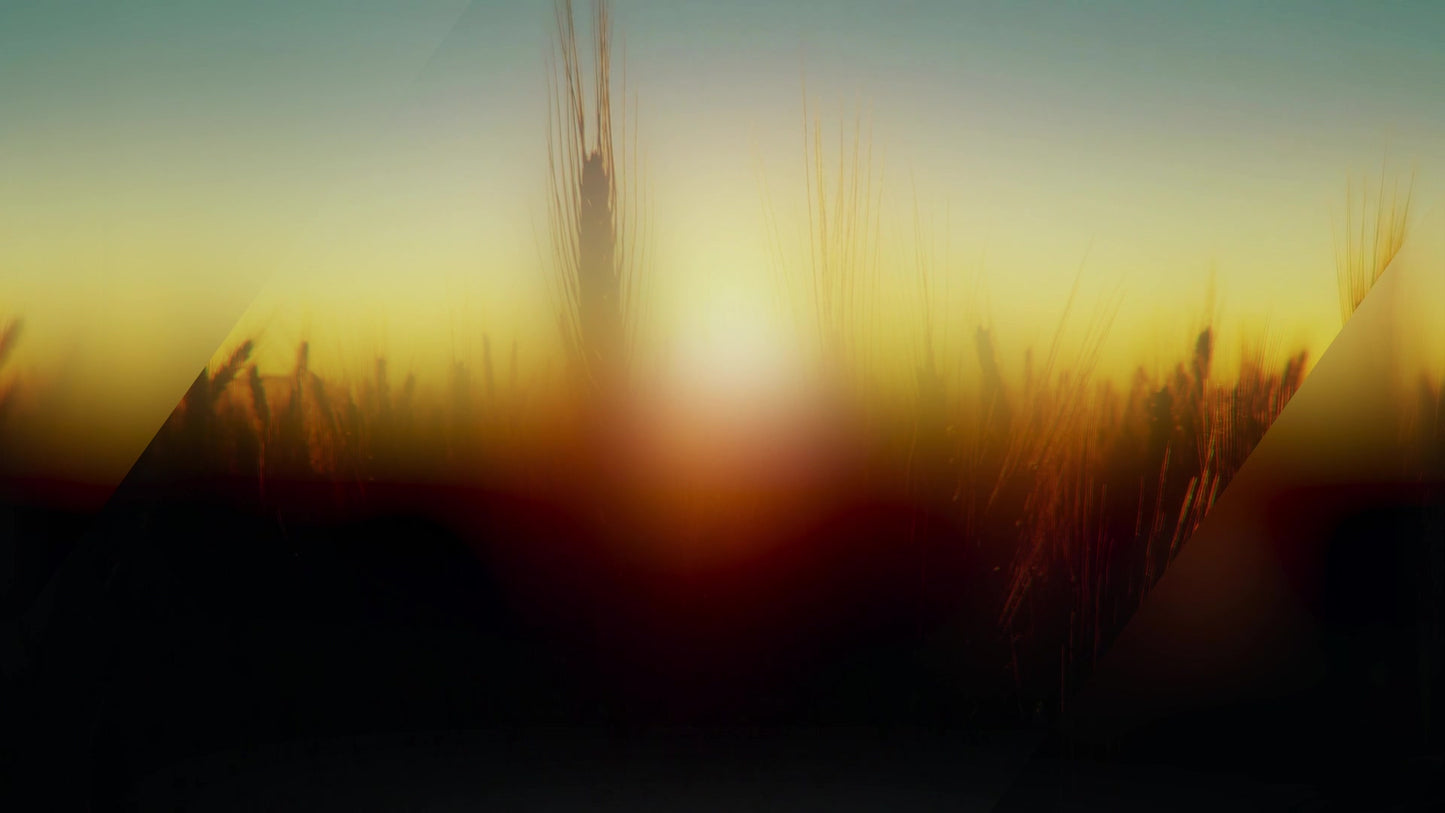 Days End Field