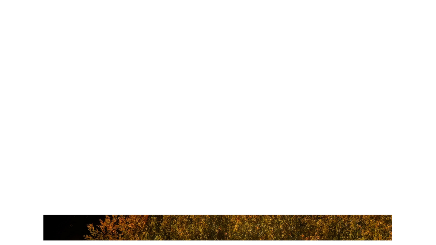 Fall Foliage Lower Third Blank 01