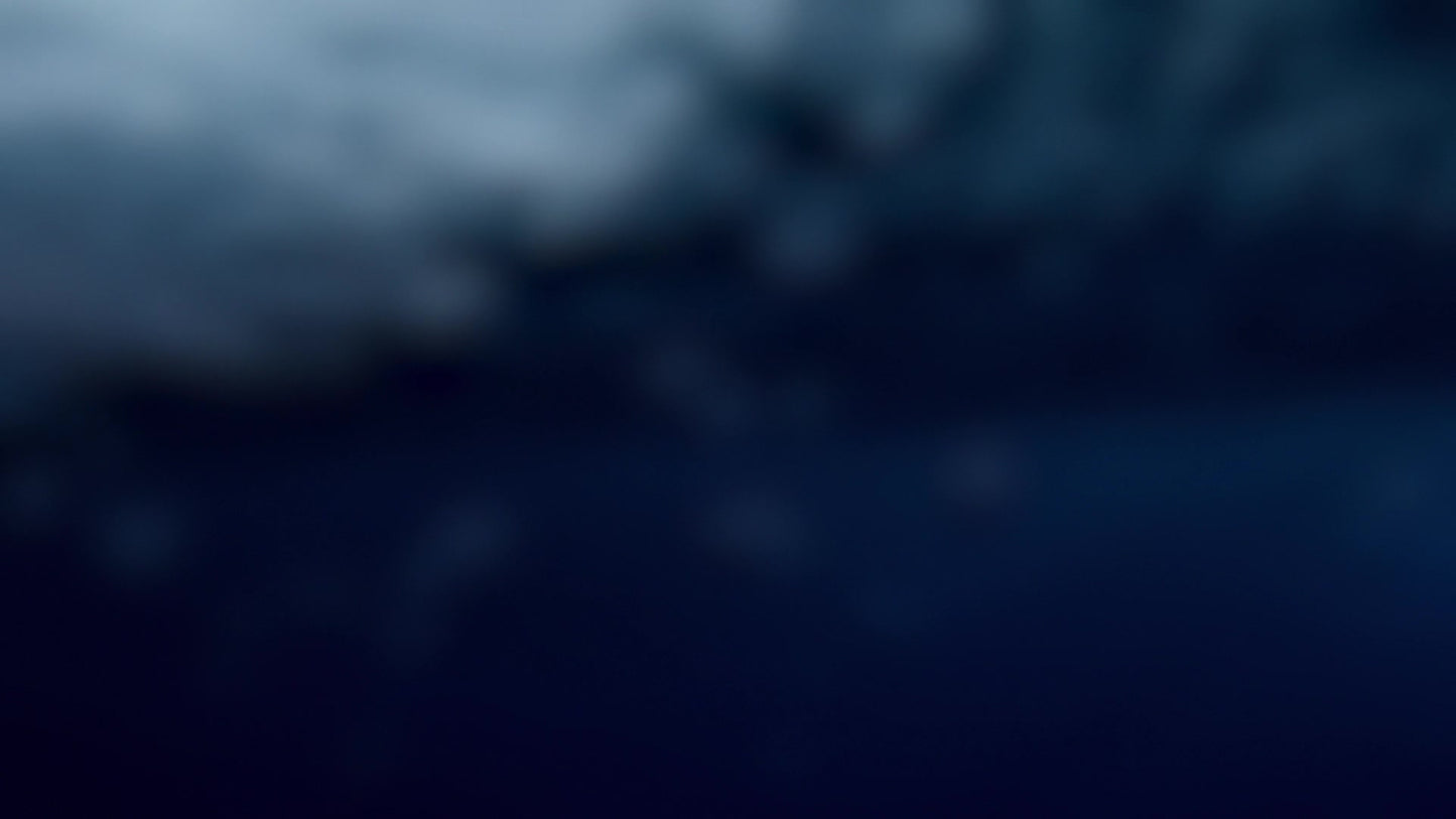 Underwater Shallow Blur
