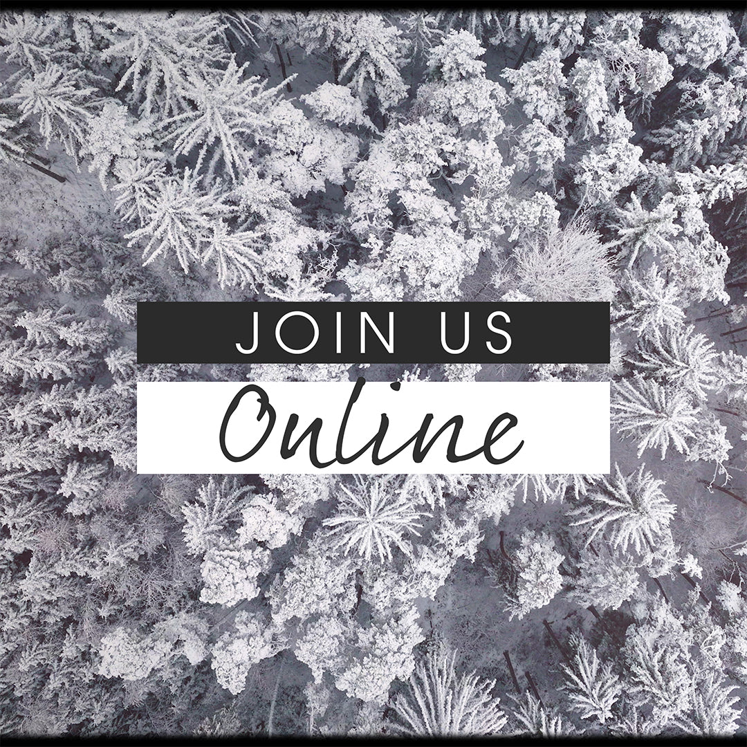 Retro Winter Join Us Online Editable
