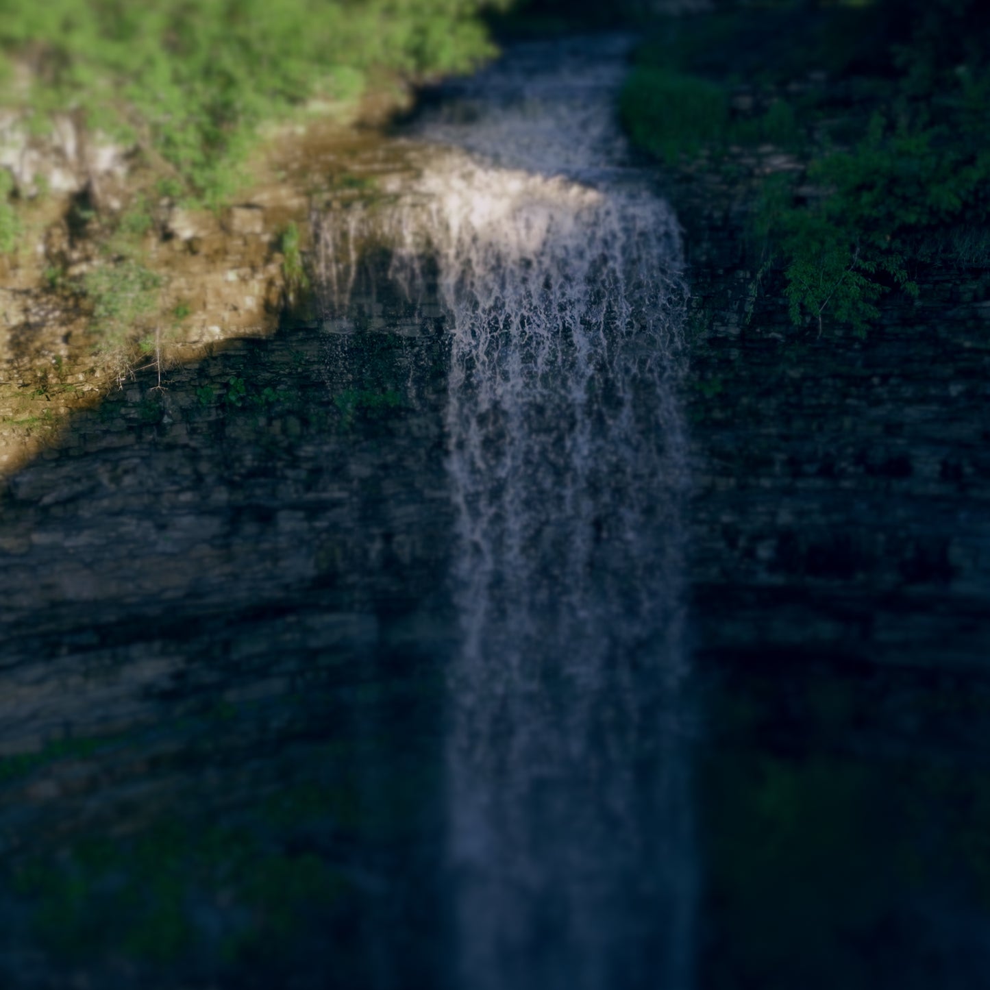 Sunday Natures Force