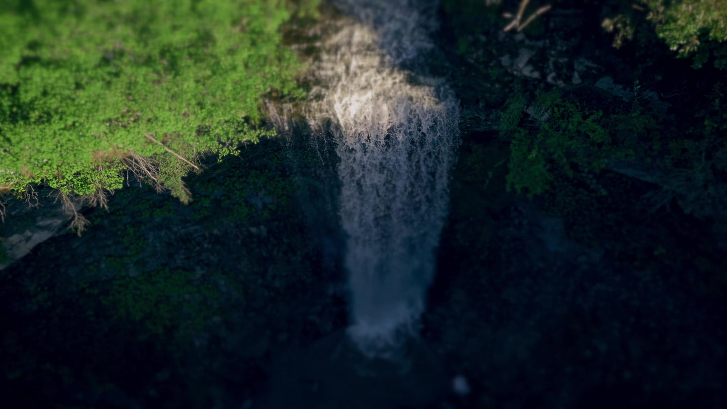 Natures Force 2