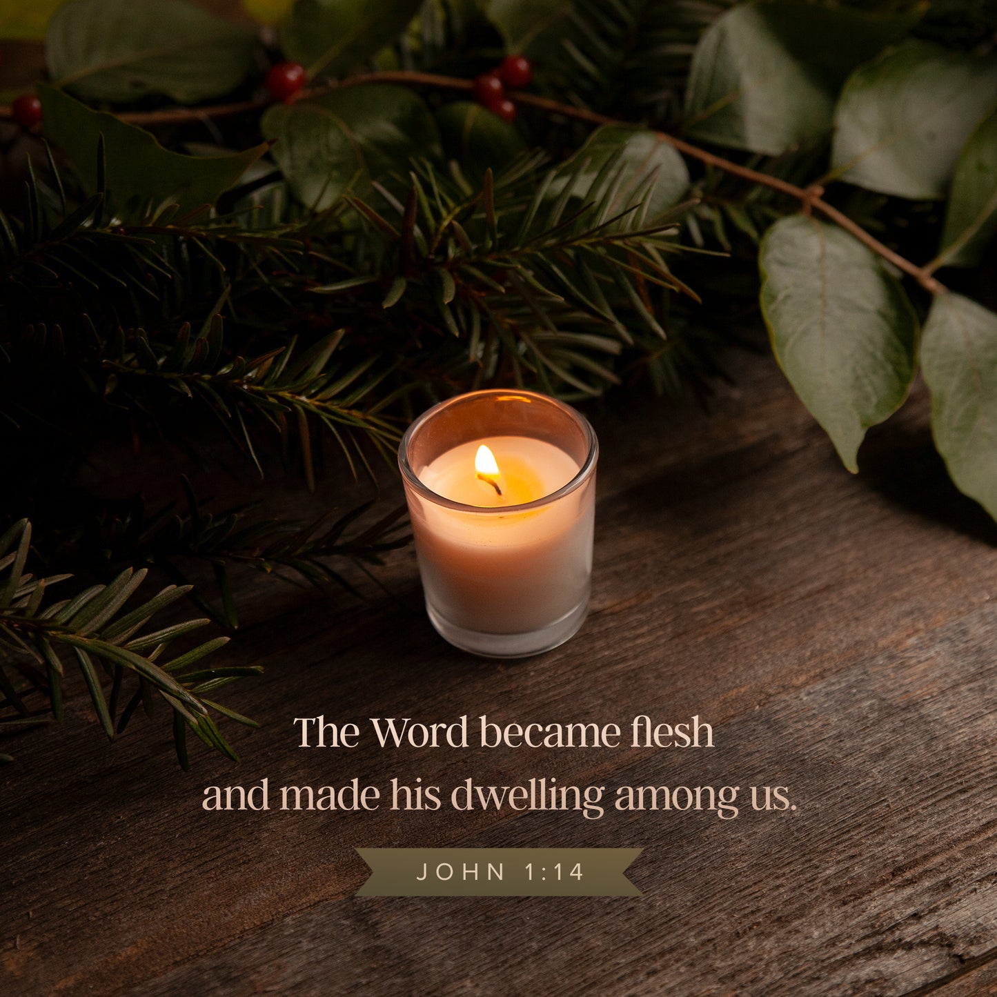 John 1:14 Advent