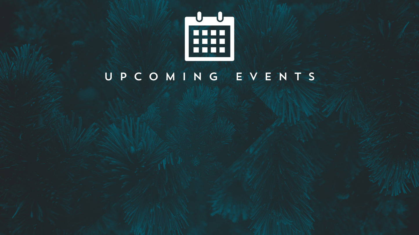 Christmas Forest Events Still