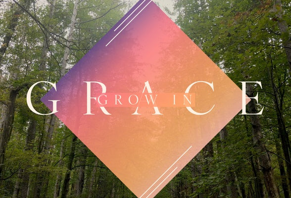 The Forest Sermon Titles