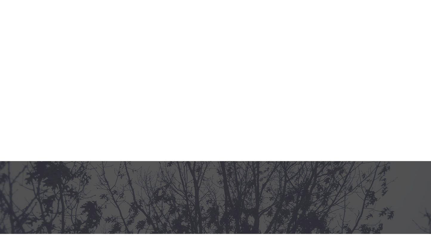Bleak Beauty Lower Third Full 2