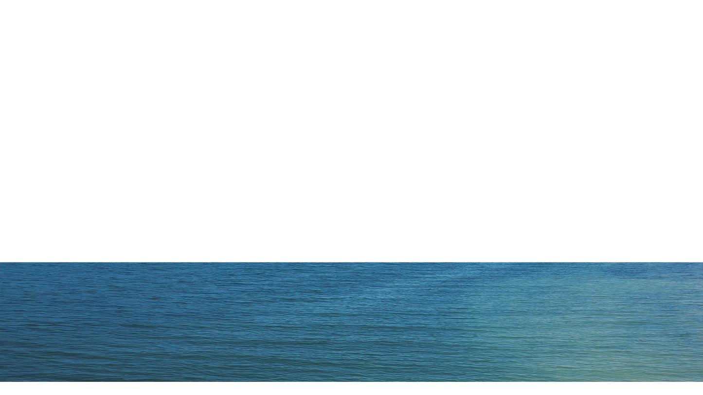 Lake Prespa Lower Third 15