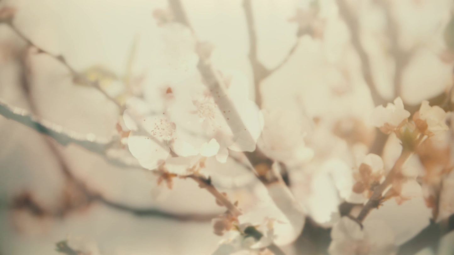 Muted Spring Branch