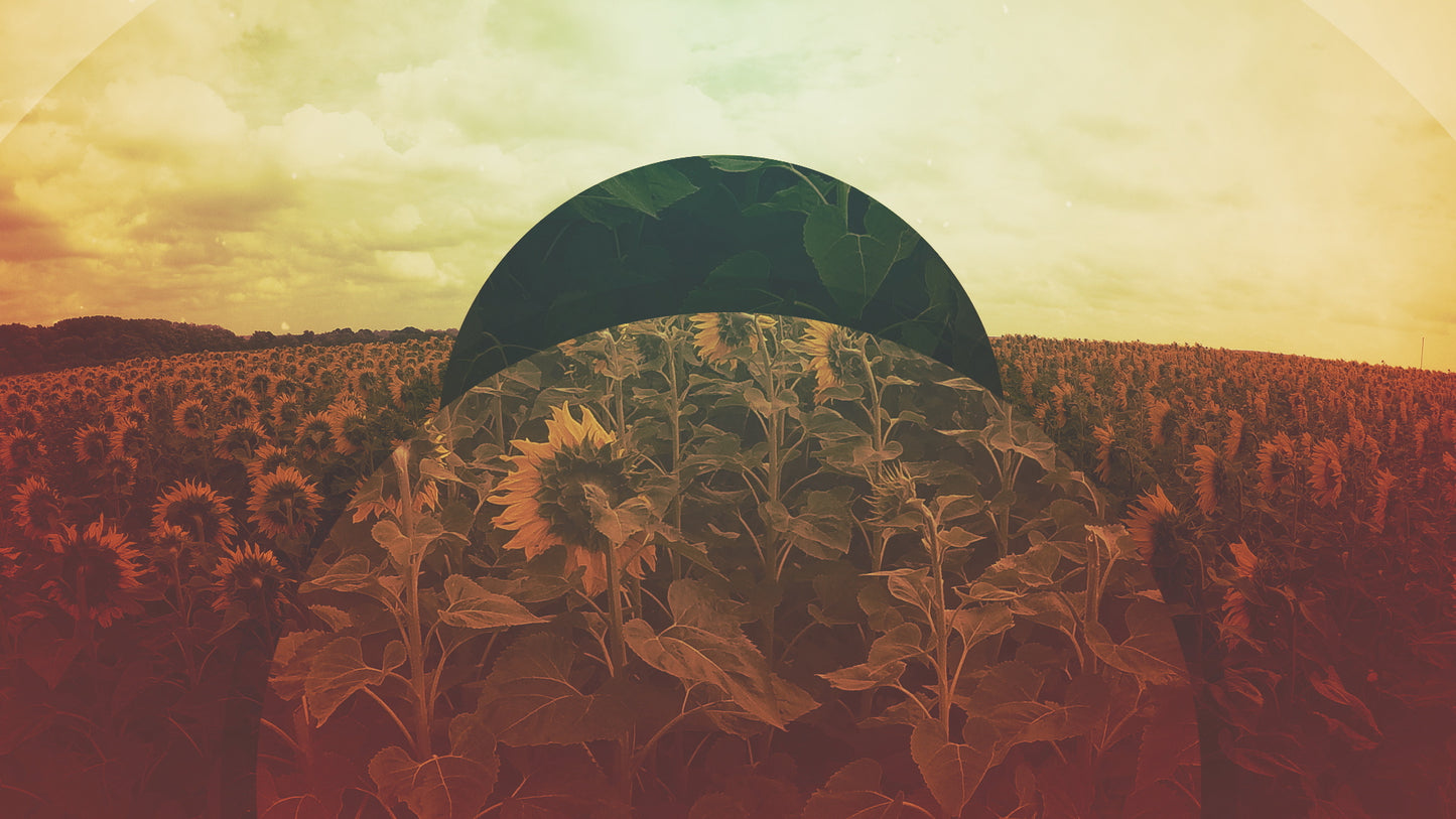 Natural Field
