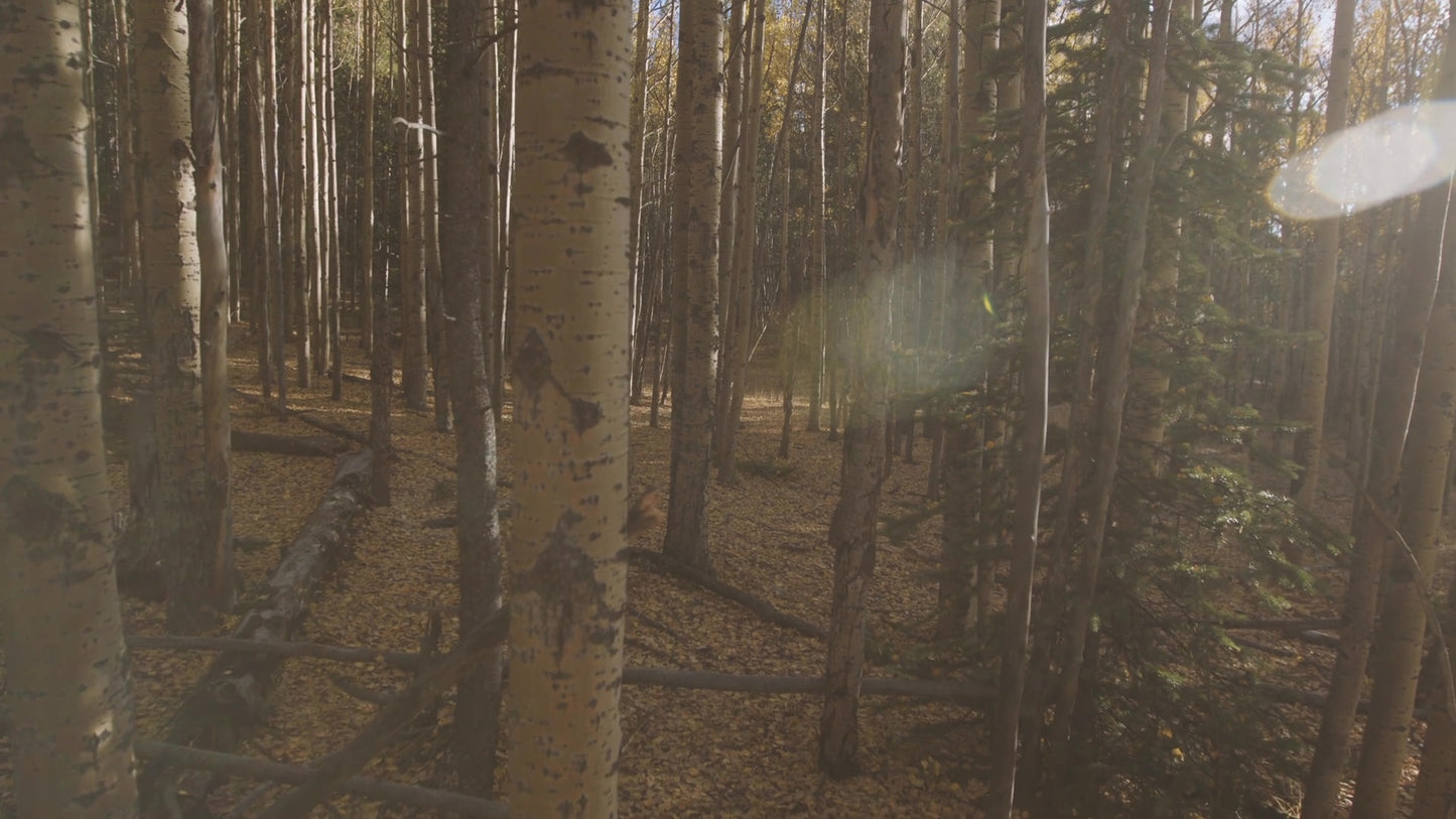 Mountain Hike 12