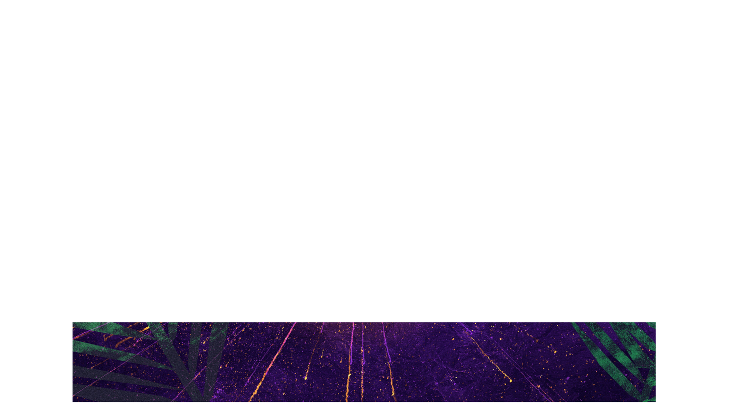 Vivid Palm Sunday Lower Third Full Blank