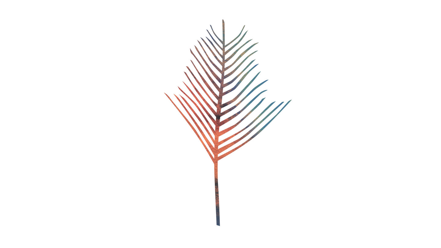 Holy Week Waves Palm