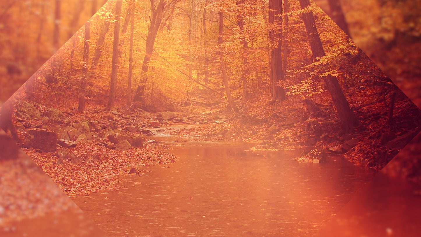 Autumn Oasis Stream