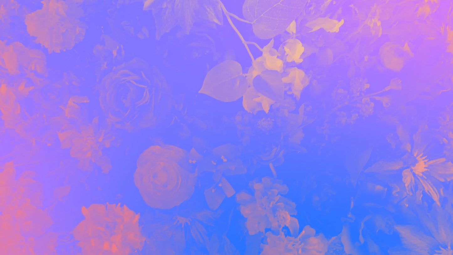 Radiant Gradient Flowers 02 Still