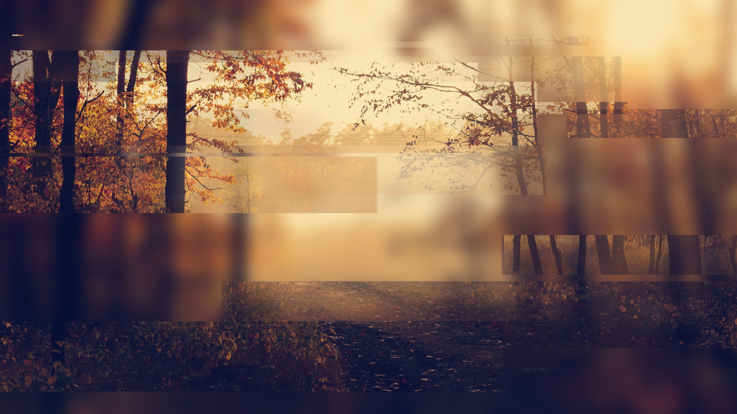 Autumn Journey 06 Still