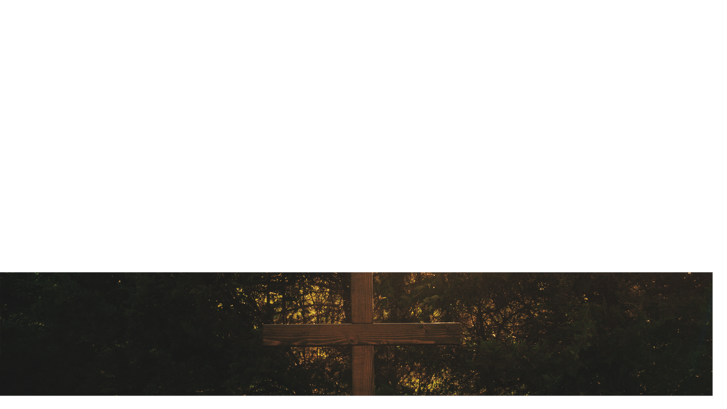 Nature Cross Lower Third 5