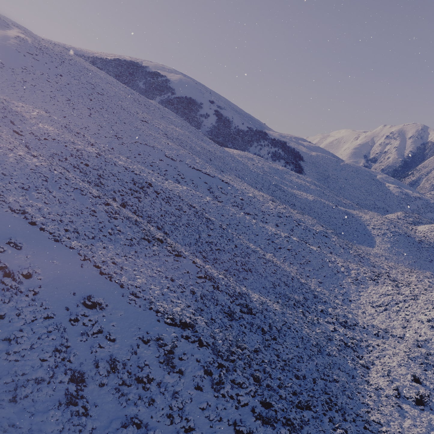 Deep Winter Giving Blank