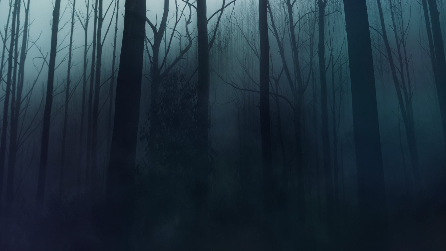 Last Light Forest
