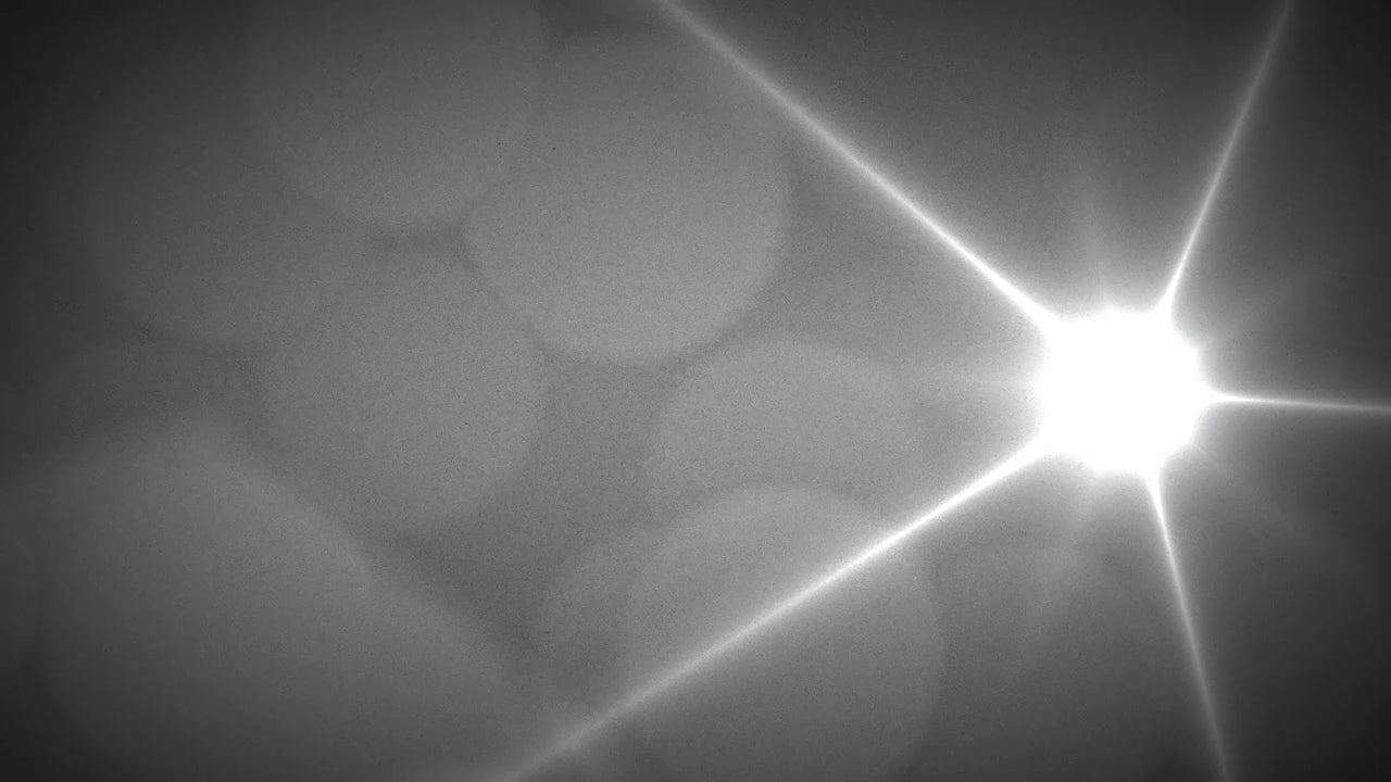 Grayscale Bokeh 02 Still