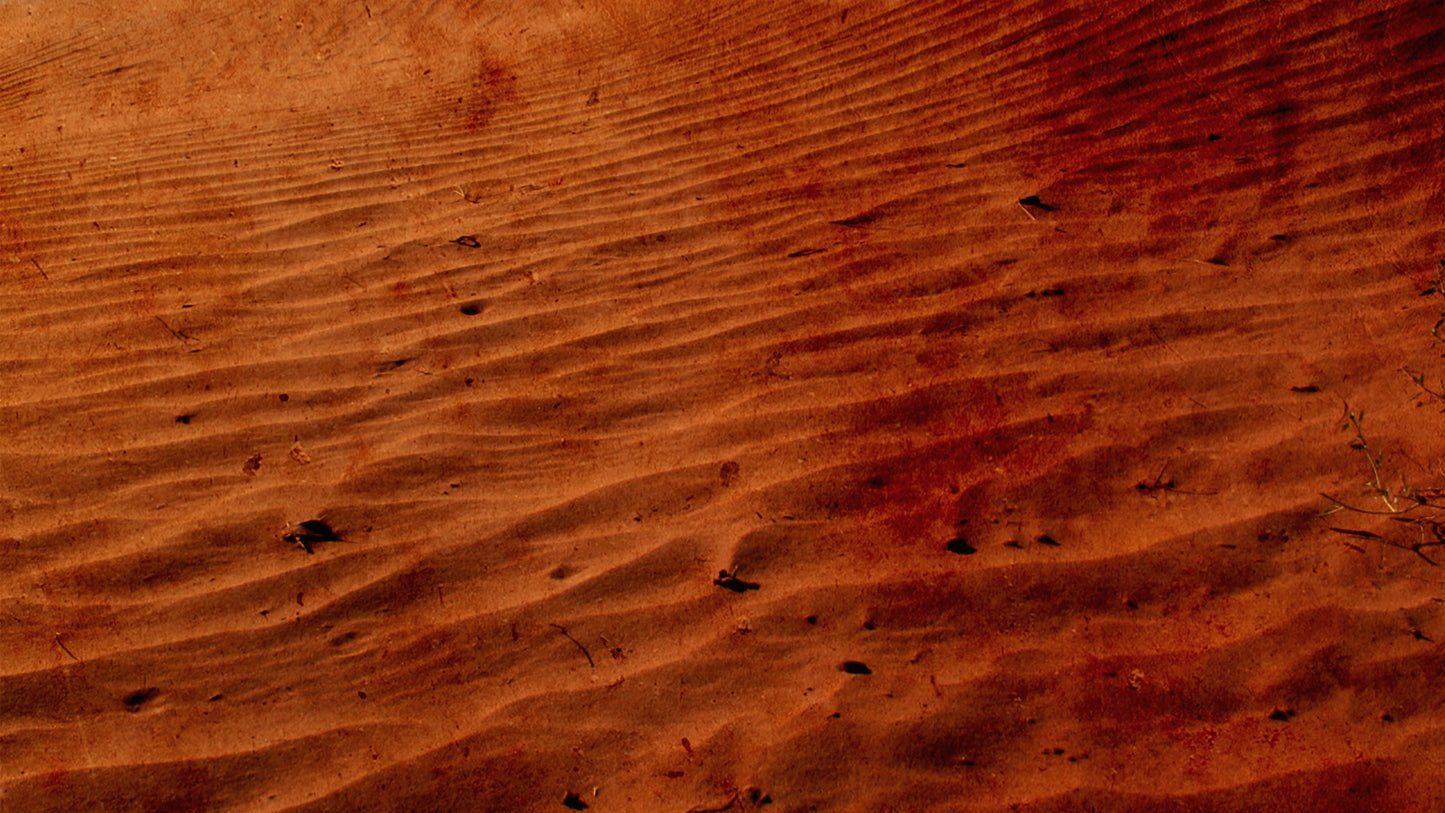 Wilderness Desert