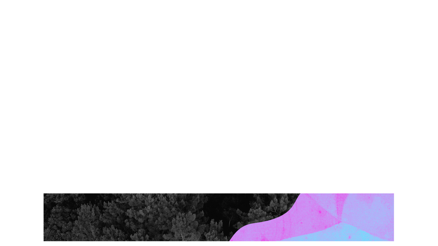 Vibrant Nature B Lower Third Full Blank
