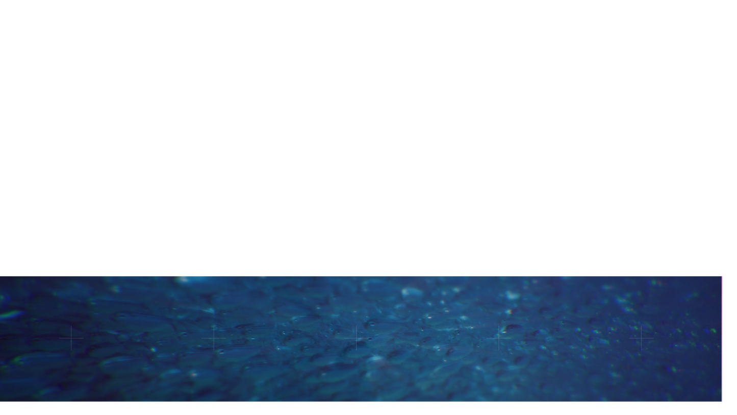 The Depths Lower Third 1