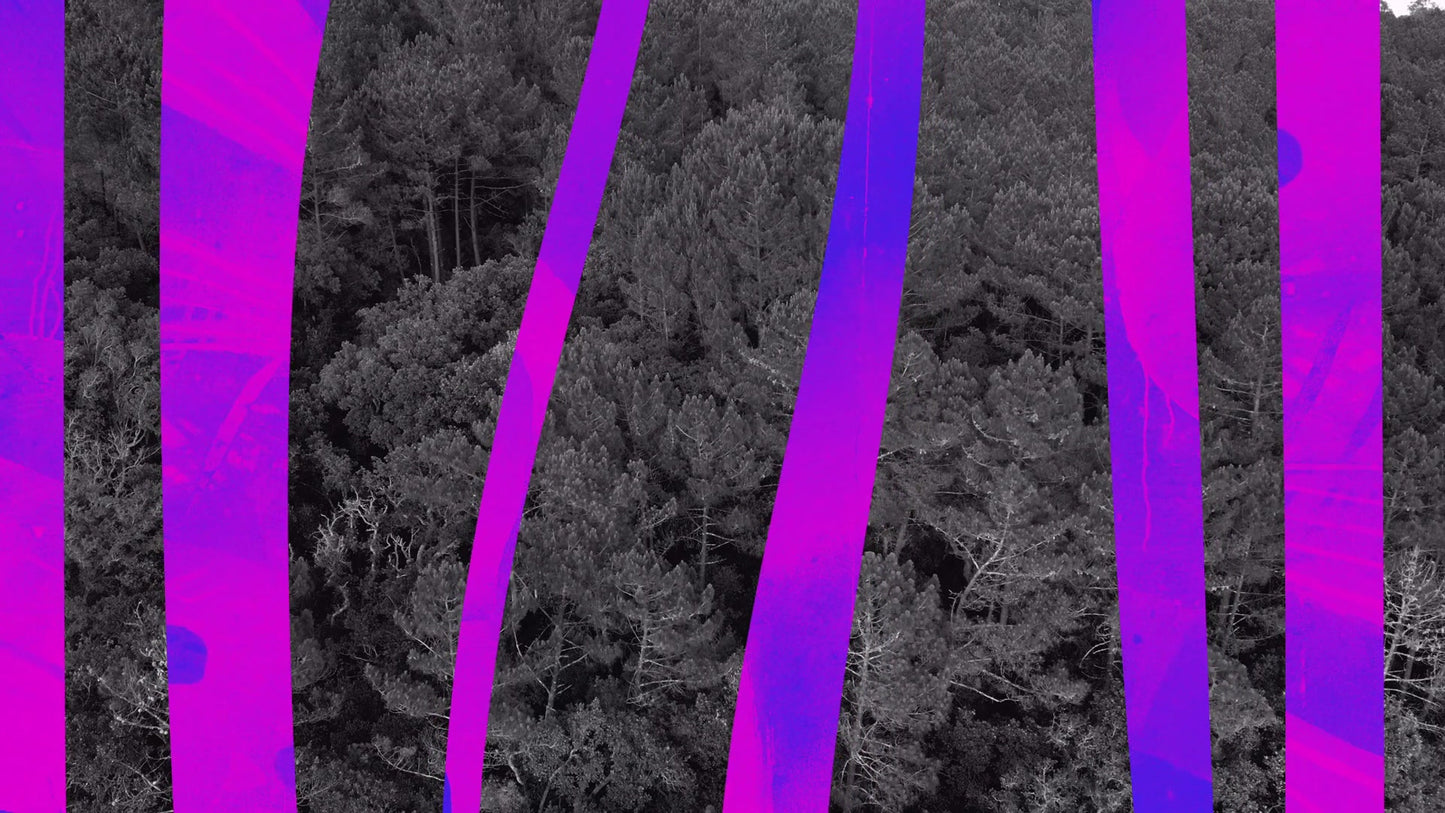 Vibrant Nature B 07