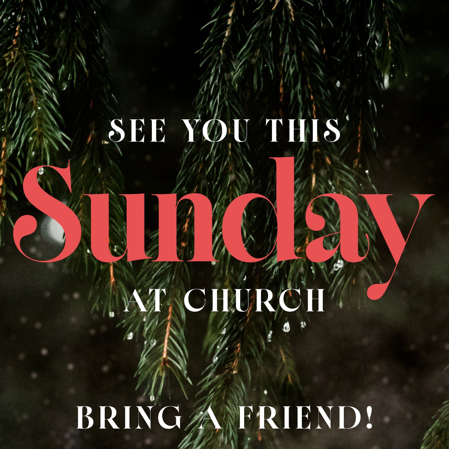 Evergreen Sunday
