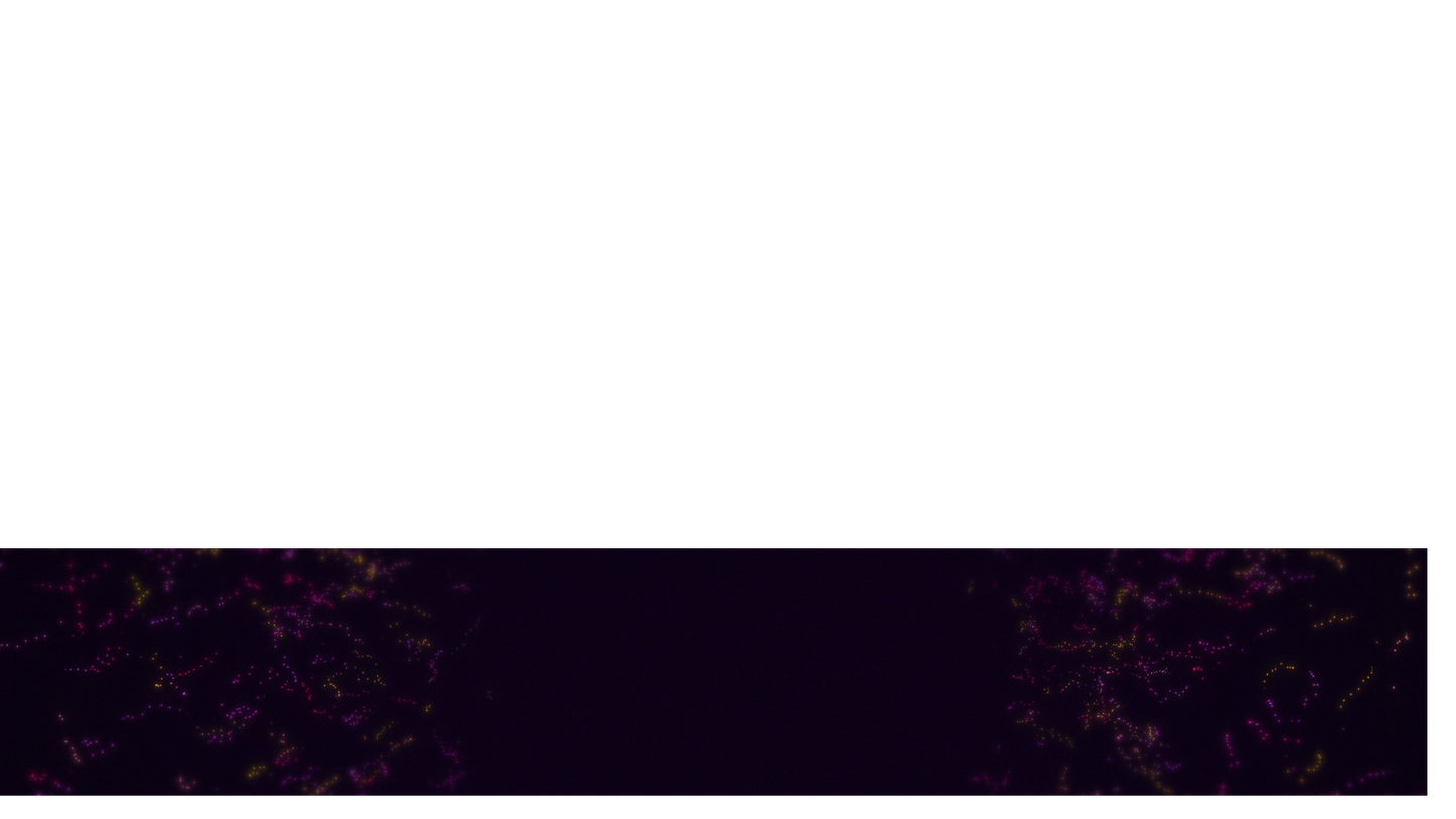 Swarm Lower Third 1