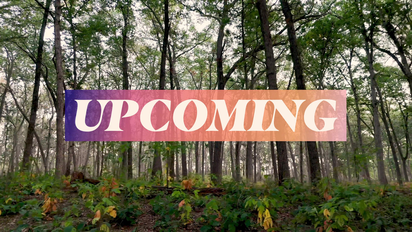 The Forest Upcoming