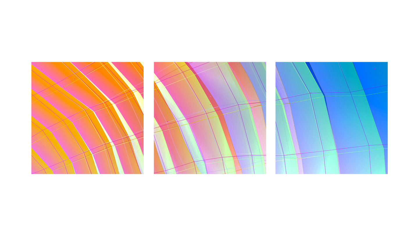 Color Planes Scallop