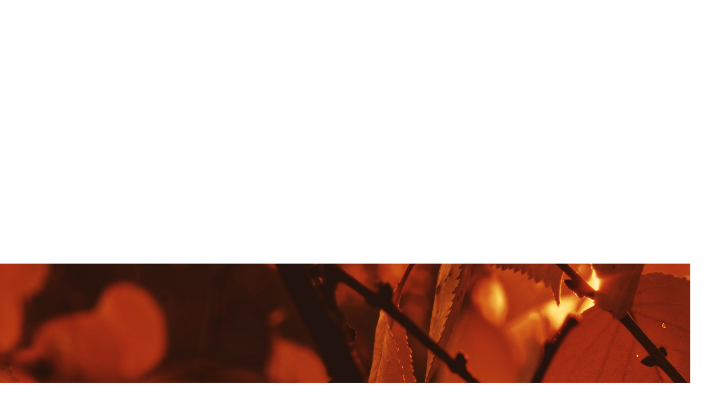 Autumn Dream Lower Third 2