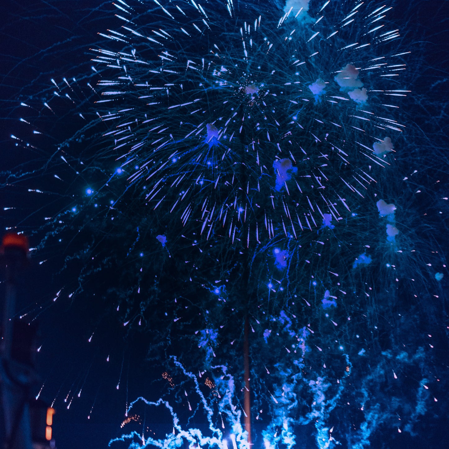 Celebrate New Years Eve Blank