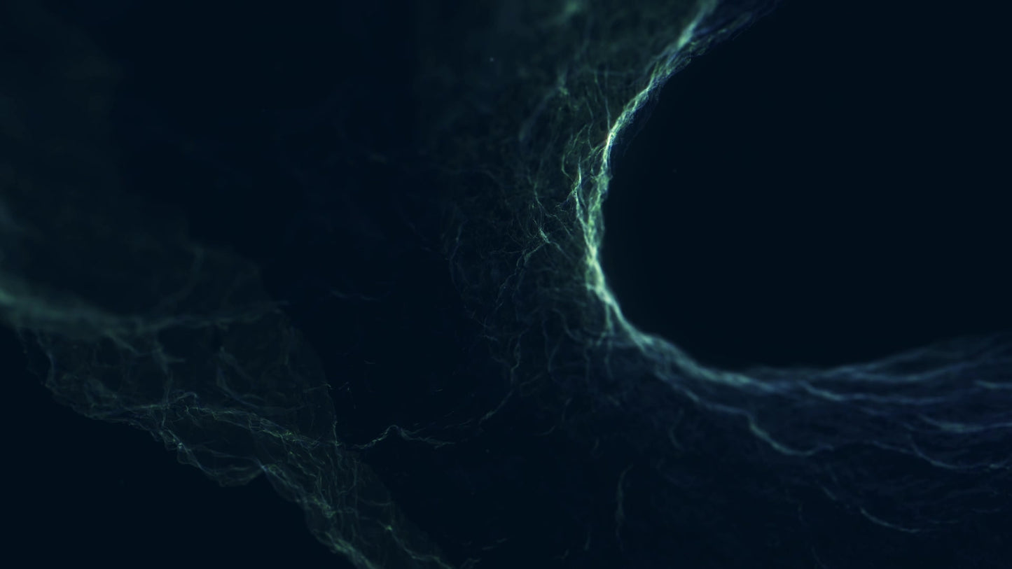 Newness Splash